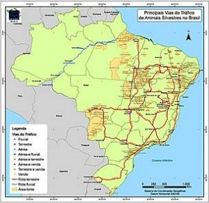rotas do tráfico de animais no Brasil – IBAMA