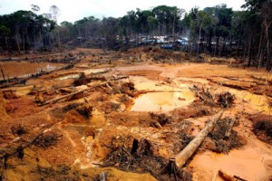 Desmatamento na Amazônia - Brasil lidera o ranking de perdas
