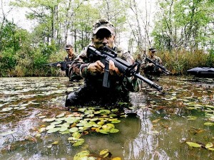 O Regime Militar atrelou a lei ambiental à defesa da soberania