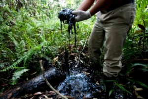 danos causados por vazamento de óleio na amazonia equatoriana - foto: cartamaior