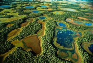 Pantanal, Mato Grosso do Sul, Brasil
