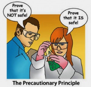 precautionaryprinciple-650x624