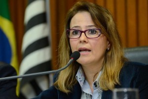 Patrícia Iglecias - última representante de uma geração de técnicos na Secretaria de Meio Ambiente paulista?