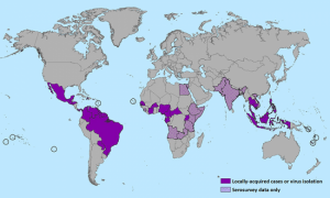 Mapa da distribuição da infecção pelo vírus Zika no mundo - 2016