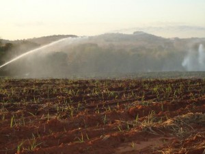 Irrigação em Carmo do Rio Verde – captação irregular de água (imagem Valle Noticias)