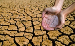 Hands Holding Water in Desert