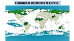 Com exceção do ecossistema amazônico, os demais ecossistemas preservados são desertos ou tundras gélidas