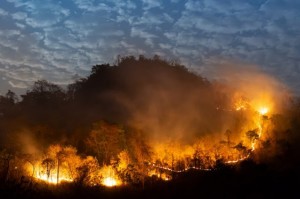 incendio-florestal