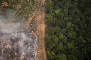 Imagem: Daniel Beltra/Greenpeace