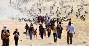 refugiados Yazidi (foto: Reuters/Rodi Said)