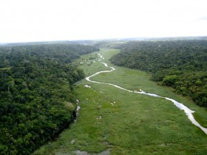 flona_do__rio_preto